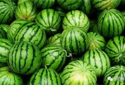 天津4s吃瓜爆料视频,揭秘汽车销售内幕